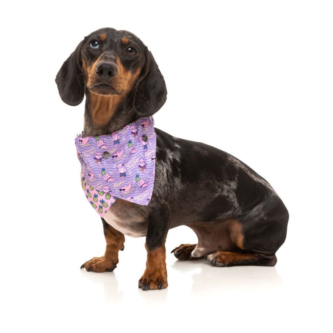 Fuzzyard-Hundehalstuch-Bandana-Aloha-Dolphins-Hund