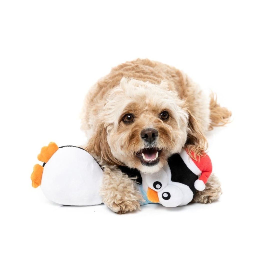 Hundespielzeug Finneck the Penguin