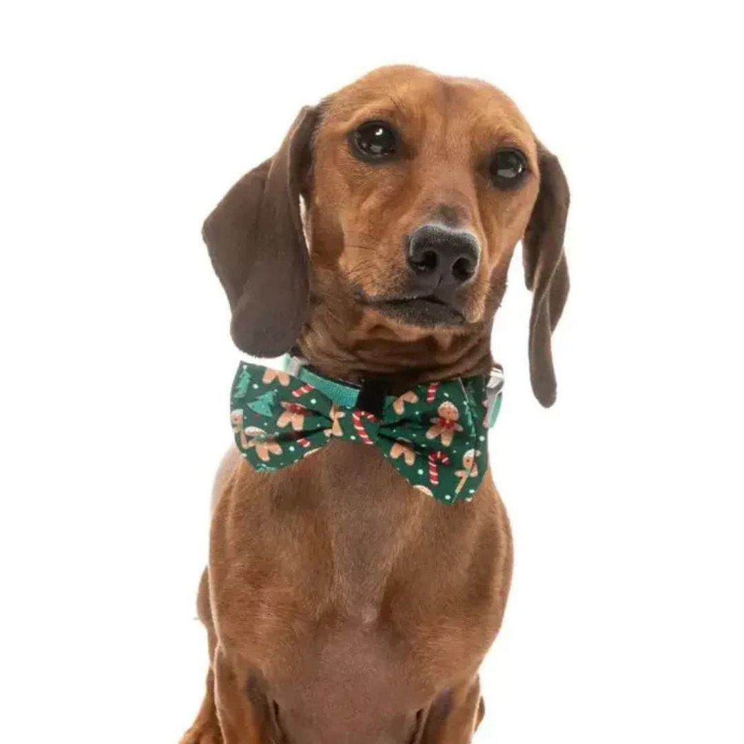 Weihnachtsfliege Jolly Gingerbread