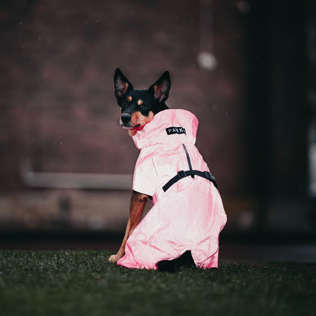 Vollreflektierender Hunderegenmantel Lite Hot Pink