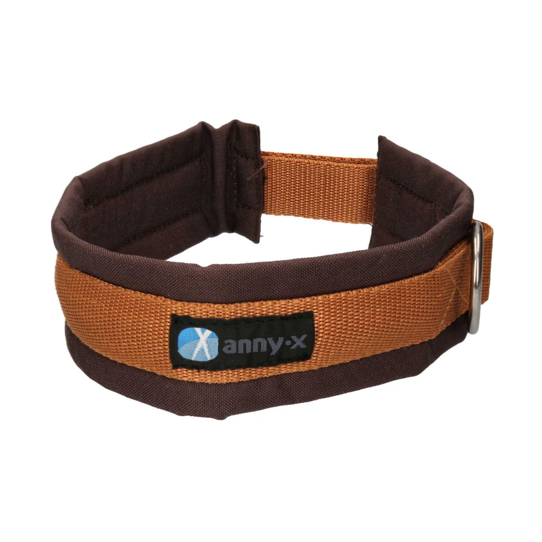 Annyx-Steckhalsband-Hundehalsband-braun-bernstein