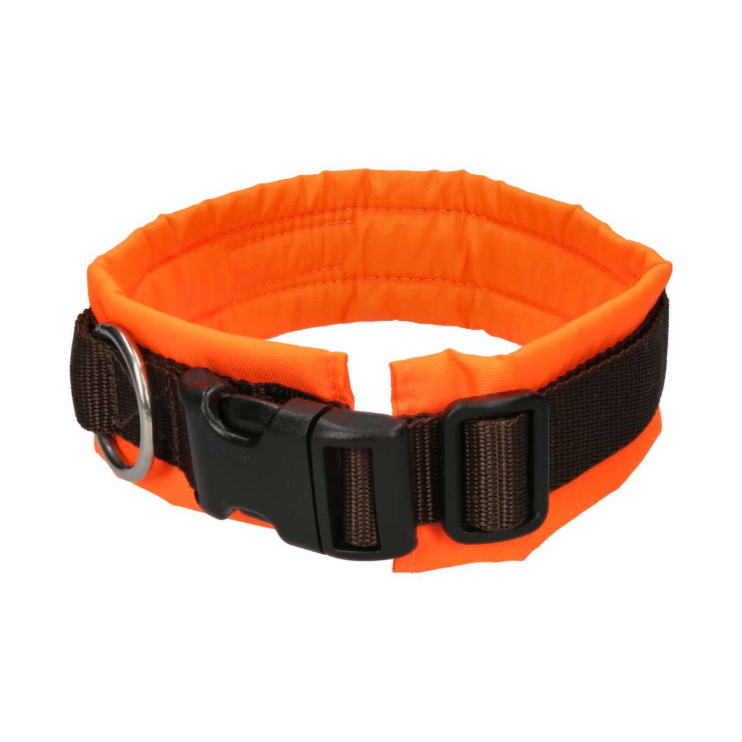 AnnyX-Hundehalsband-Protect-Leuchtorange-Schließe