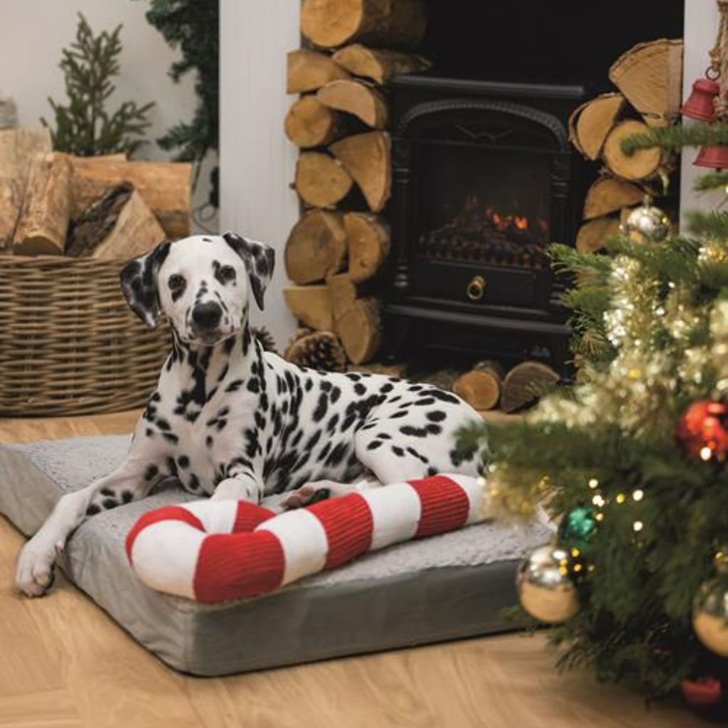 Hundespielzeug Candy Cane XXL