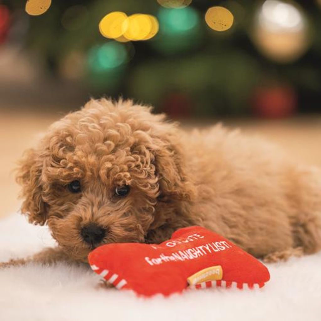 Hundespielzeug Weihnachtsknochen