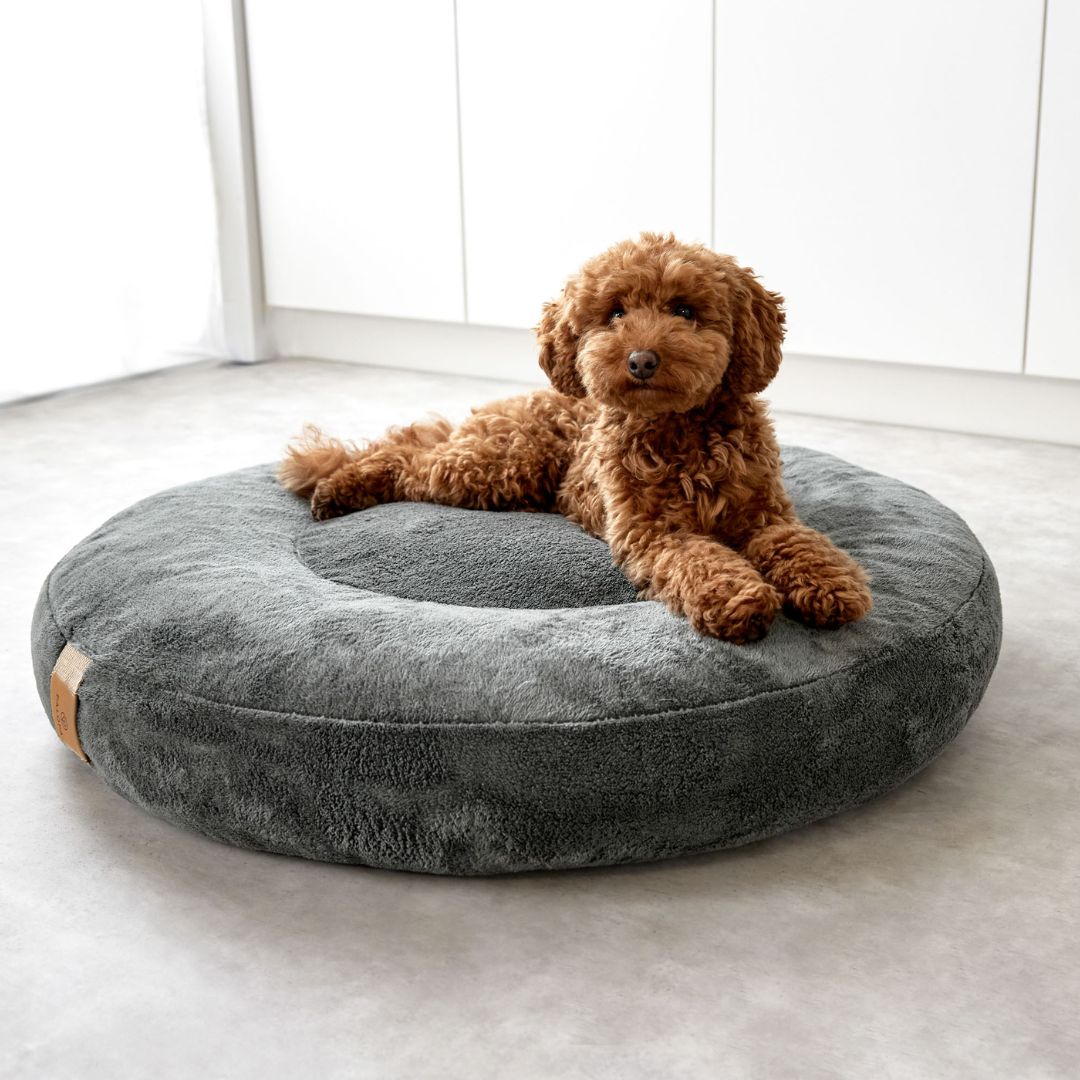 Palopa-Hundebett-Donut-Fippa-Anthrazit-Hund