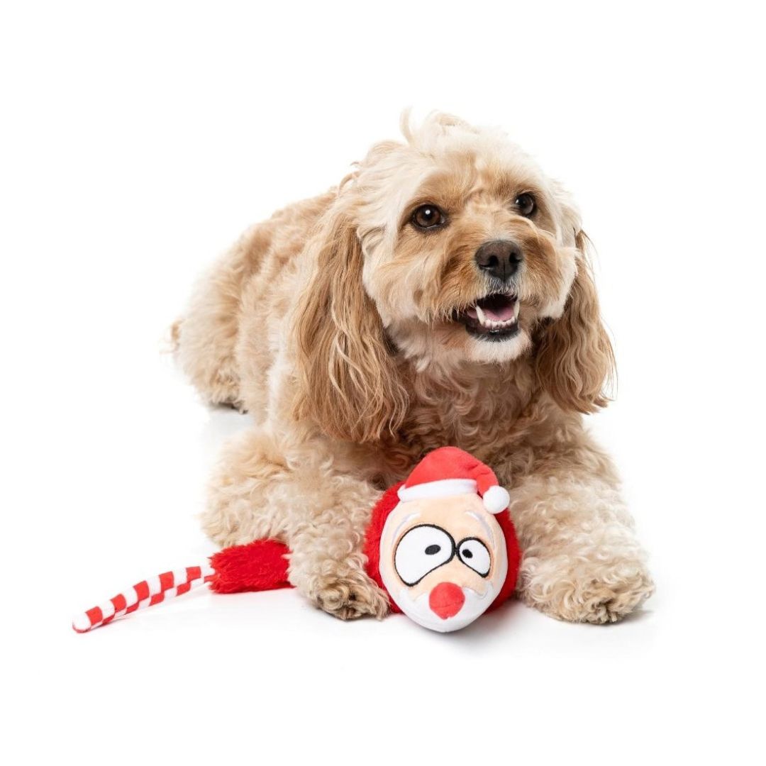 Hundespielzeug So Long Santa