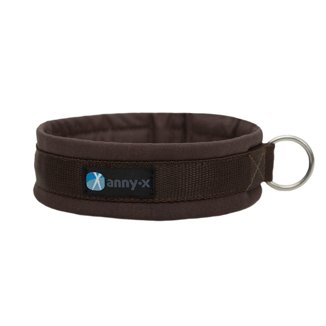 Annyx-Steckhalsband-Hundehalsband-braun-braun-2