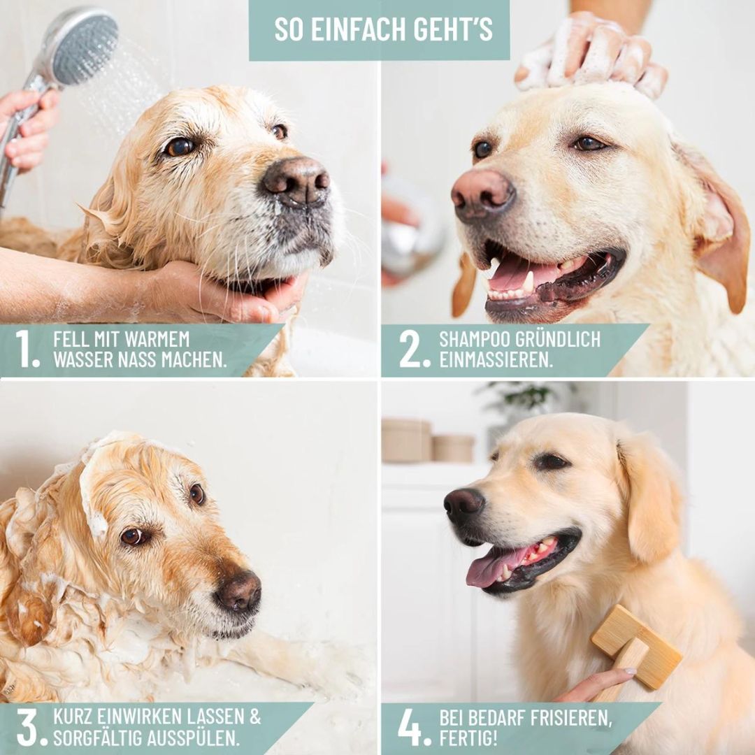 ReaVet-Neemöl-Shampoo-Hundeshampoo-Anwendung