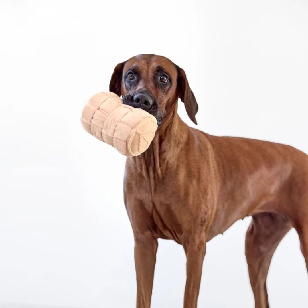 Schnüffelspielzeug Kalpi Beige