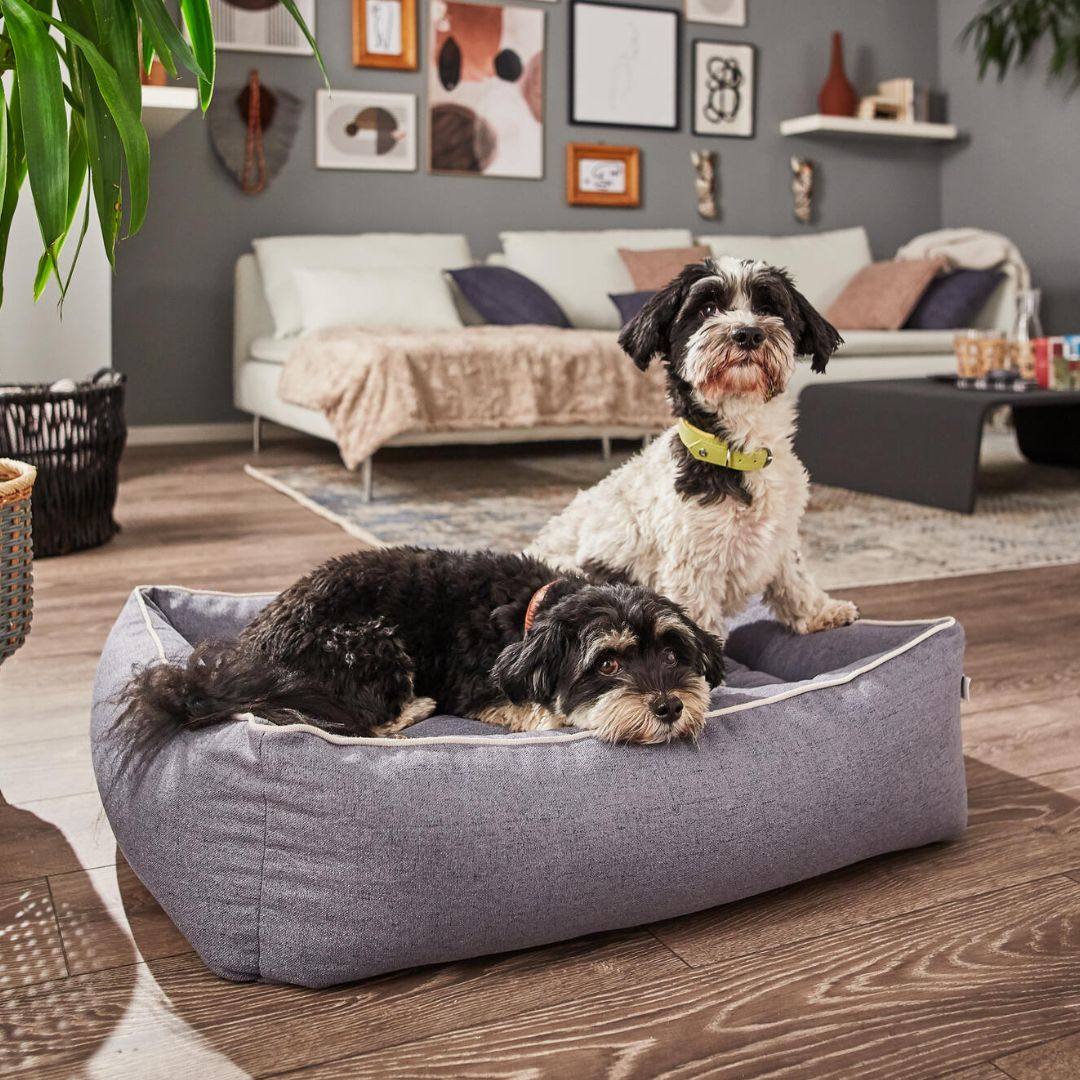 Hundebett Vito Slate Grey