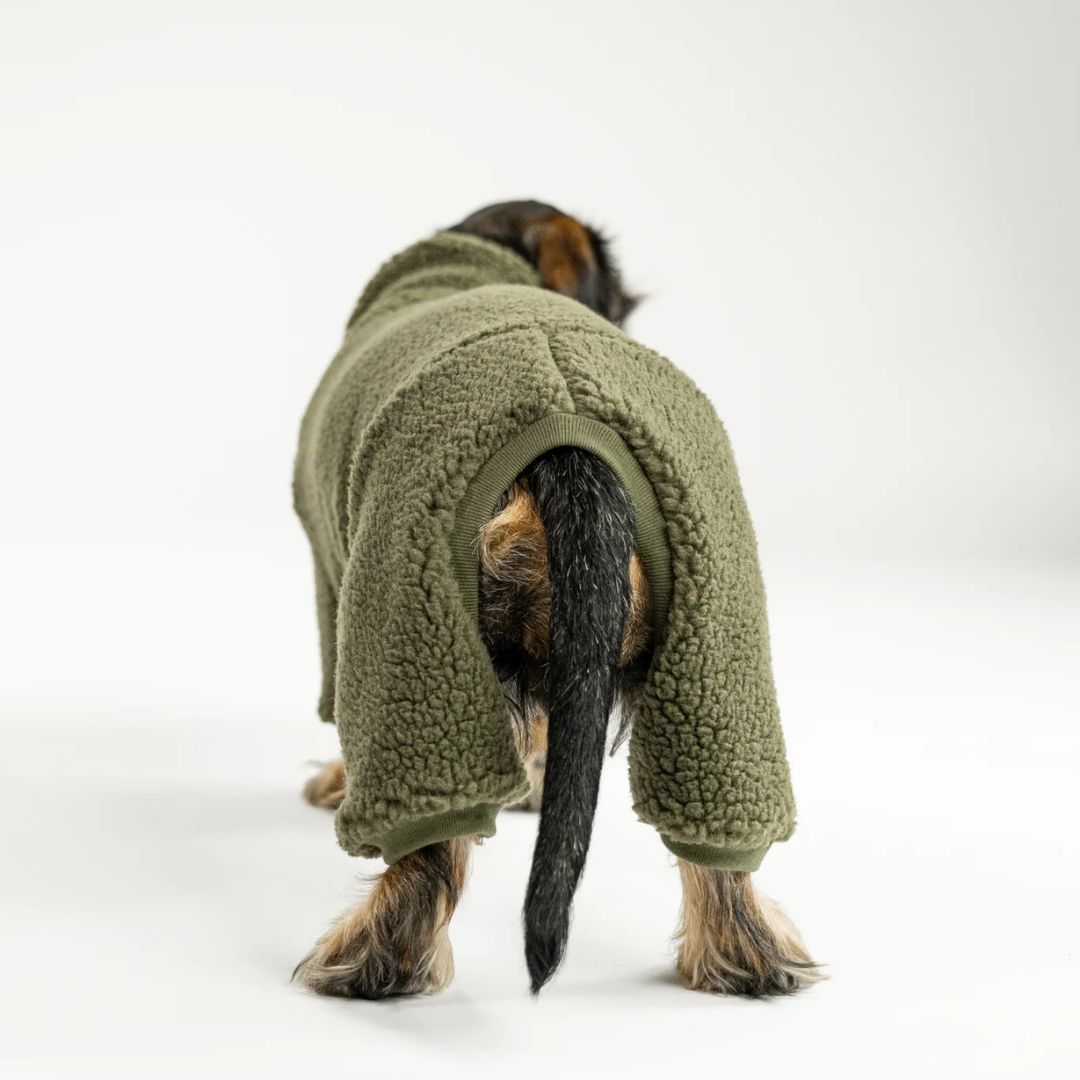 Karma-Hund-Hundepullover-Teddy-Overall-Dackel-Olive-4