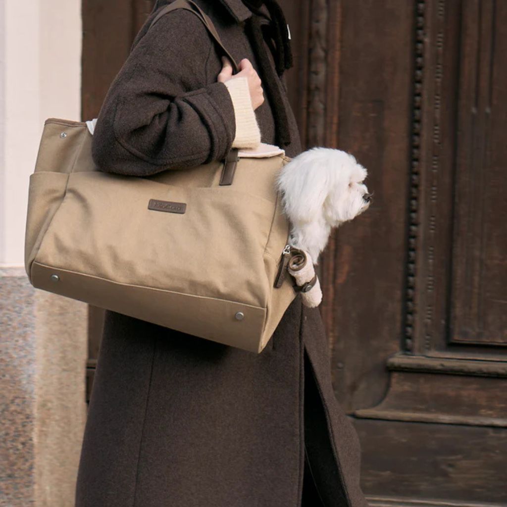 Hundetragetasche Tasca