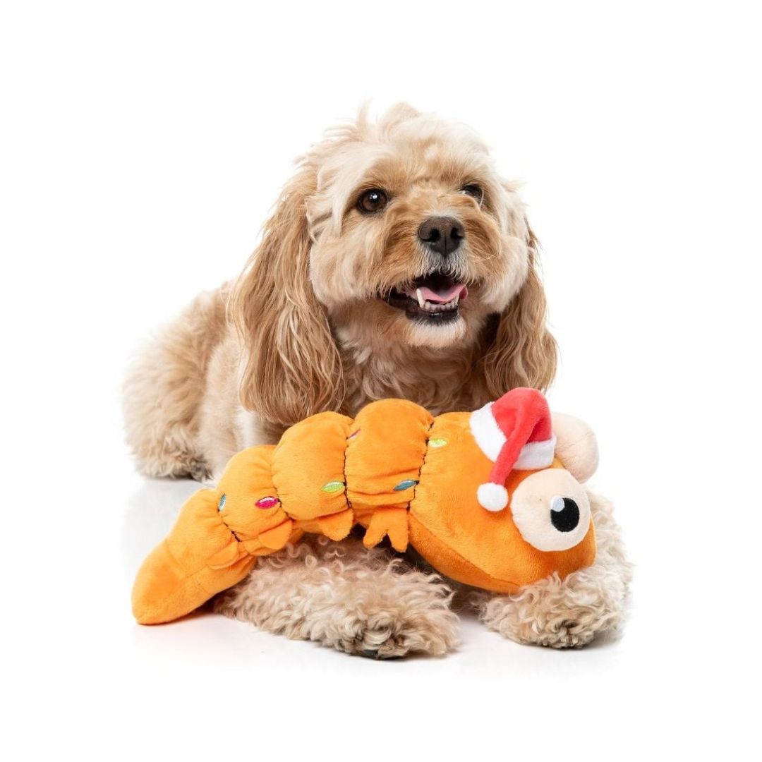 Hundespielzeug Shelvis Presley