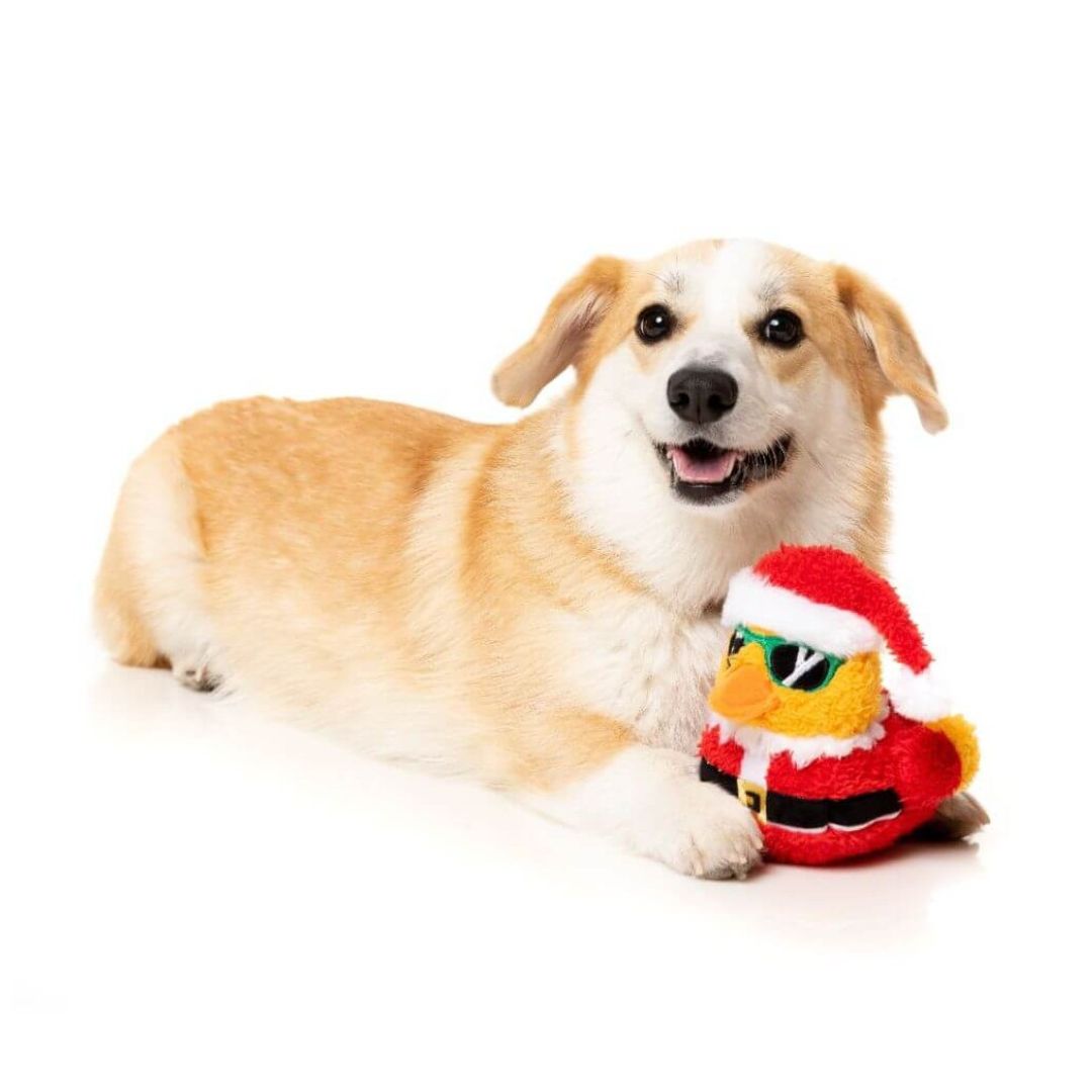 FuzzYard-Hundespielzeug-Christmas-Quacker-Hund