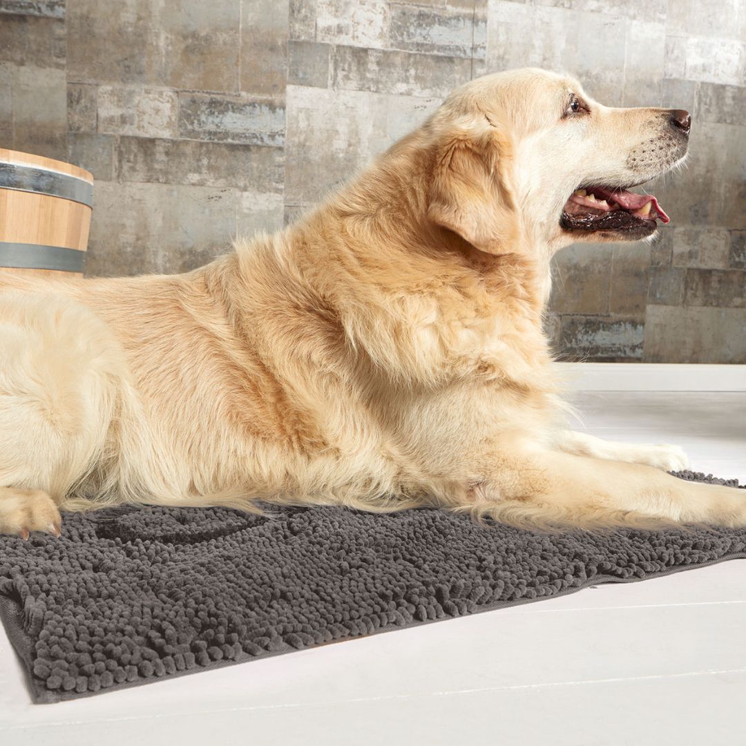 Wolters-Cleankeeper-Doormat-Dirty-Dog-grau-Mood