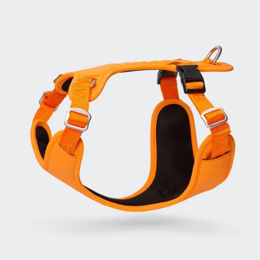 Reflektierendes Hundegeschirr Visibility Harness Orange