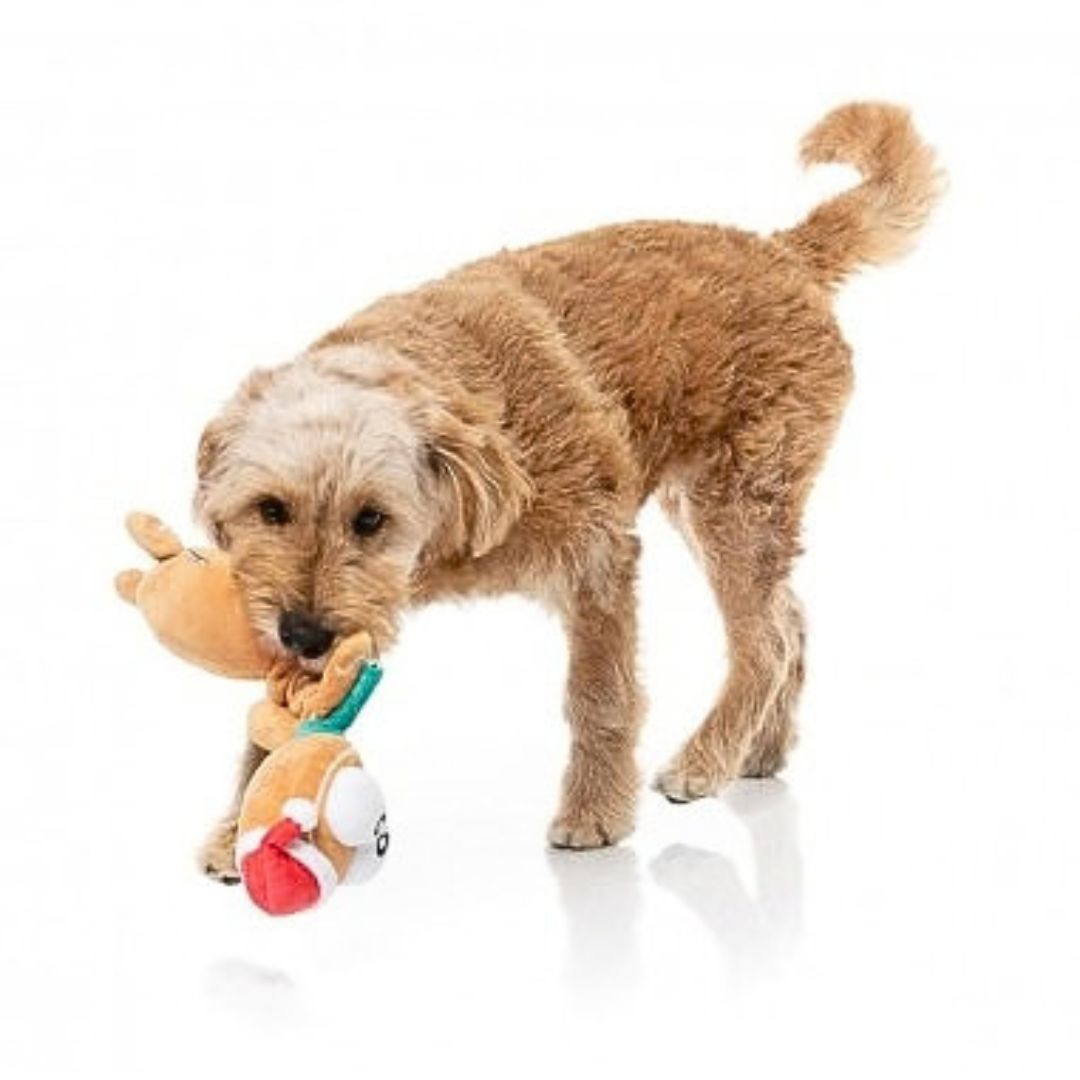 Hundespielzeug Veronecka The Gingerbread