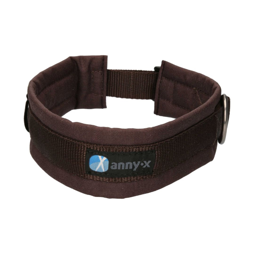 Annyx-Steckhalsband-Hundehalsband-braun-braun