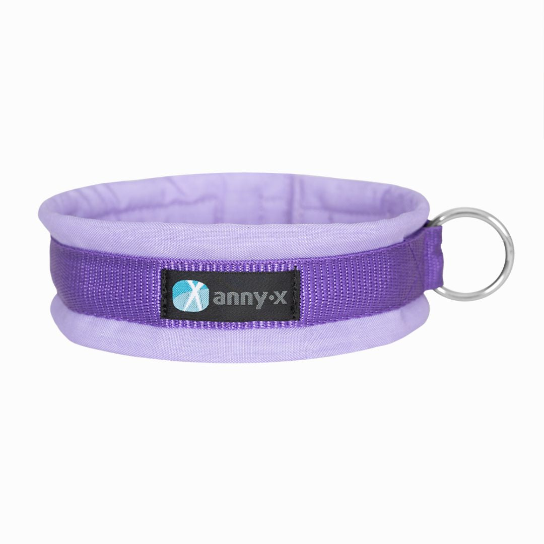 Annyx-Steckhalsband-Hundehalsband-Lavendel