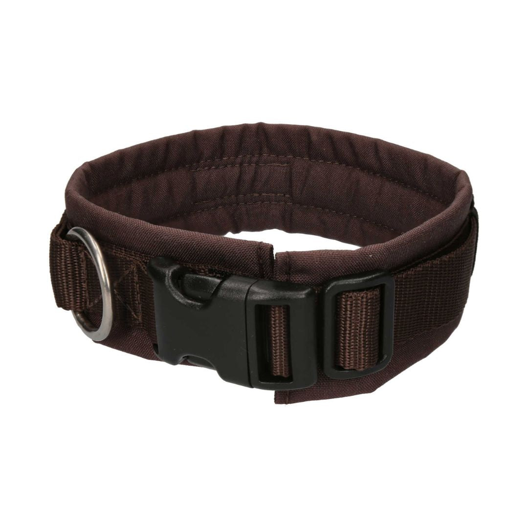 Annyx-Steckhalsband-Hundehalsband-braun-braun-Rueckseite