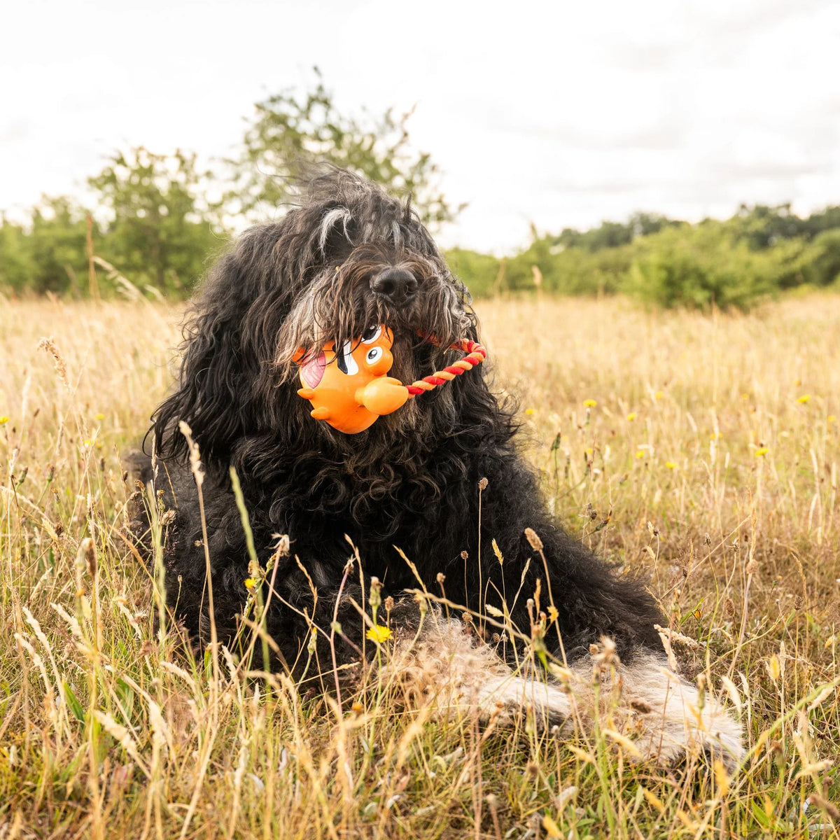 Hundespielzeug Lenny Krabitz