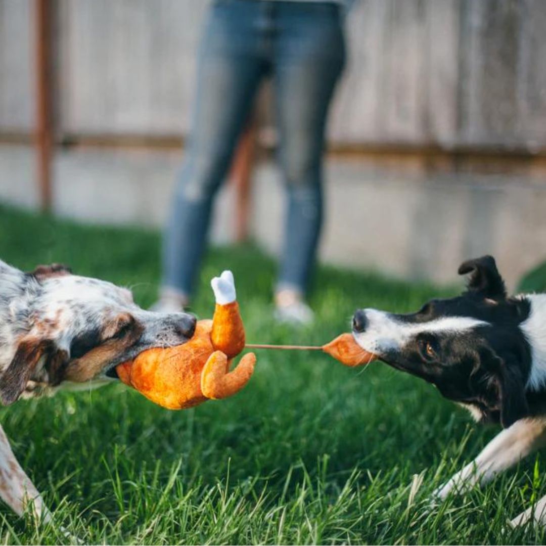 PLAY-Hundespielzeug-Whole-Turkey-Mood