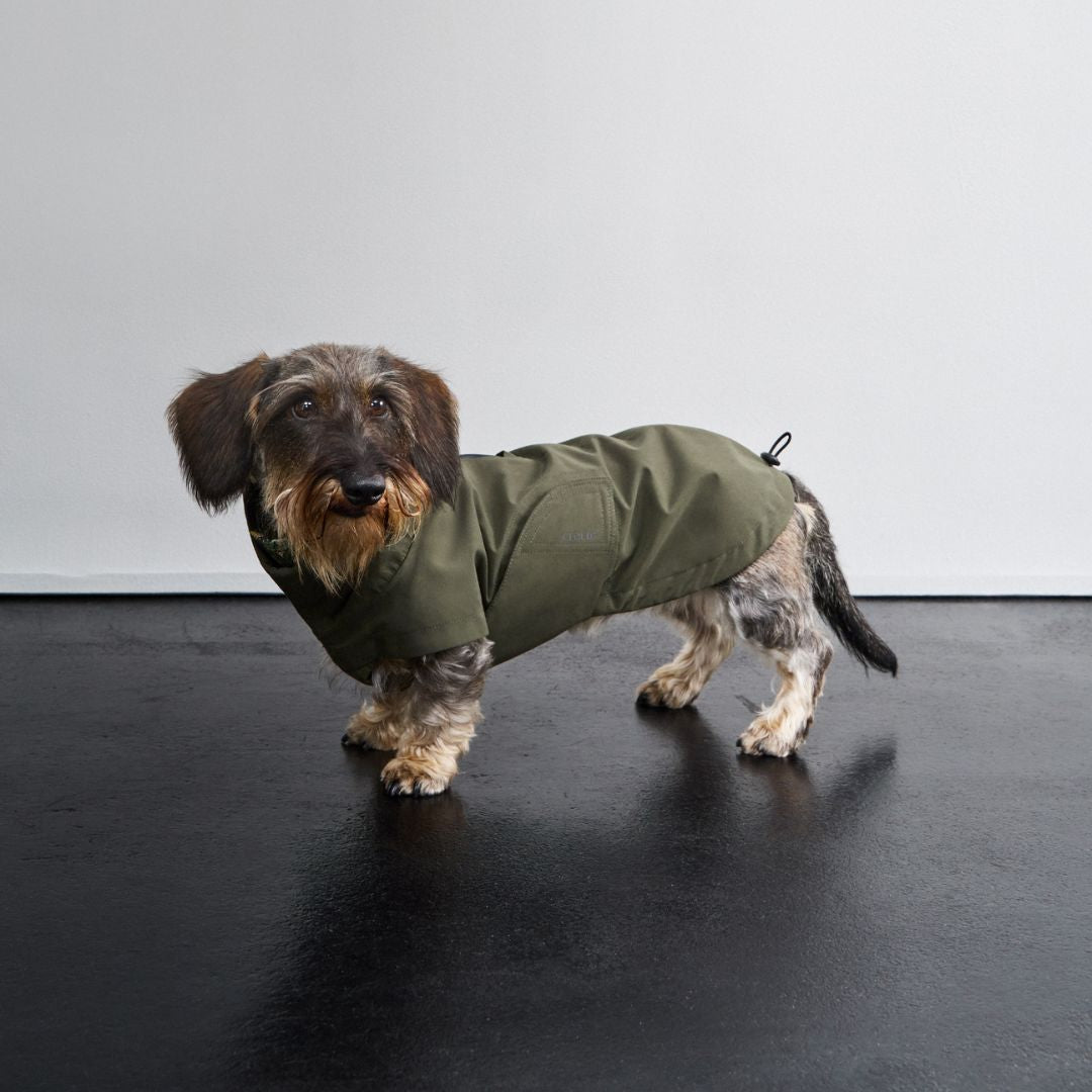 Hunderegenmantel Dackel Dublin 2.0 Dark Olive