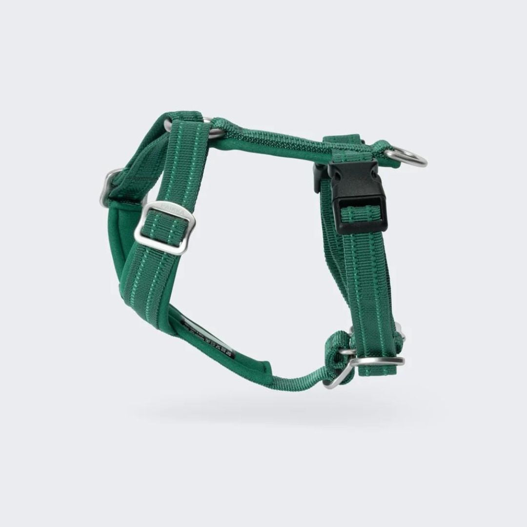 Hundegeschirr Easy Harness Emerald