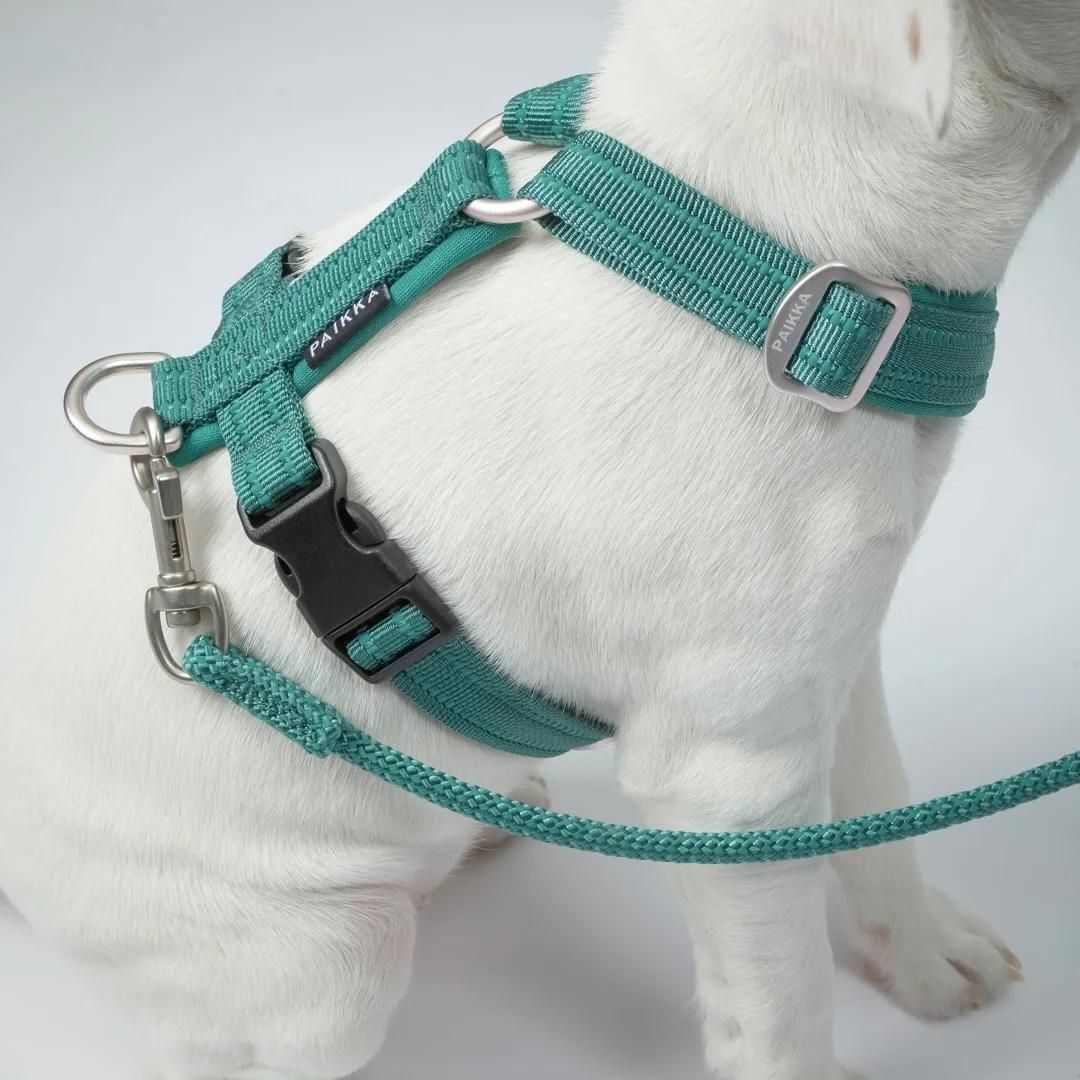 Hundegeschirr Easy Harness Emerald