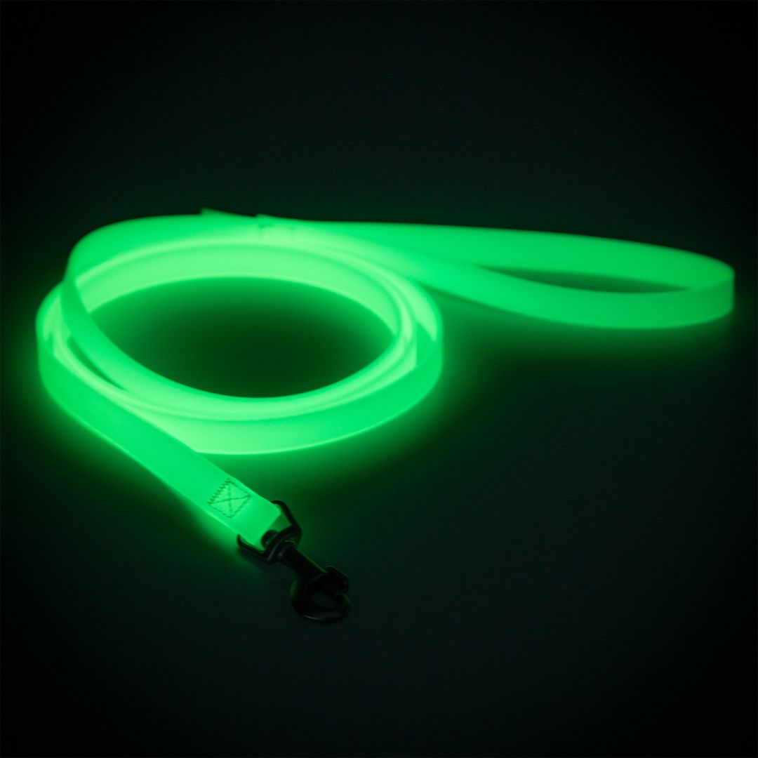 Paikka-Glow-Leash-Hundeleine-leuchtend