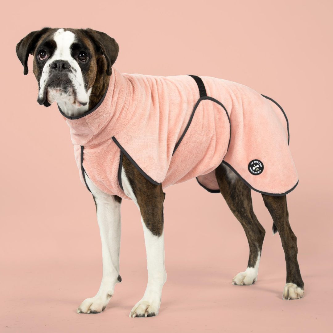 My-Dogs-Suit-Hundebademantel-Hundeschlafmantel-Fluffy-Apricot-Boxer