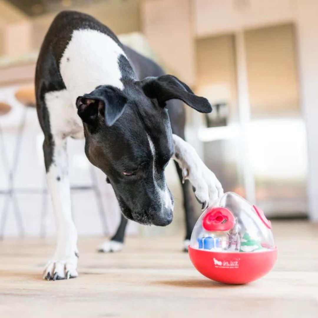 PLAY-Hundespielzeug-Wobble-Ball-Weihnachten-Rot-Hund