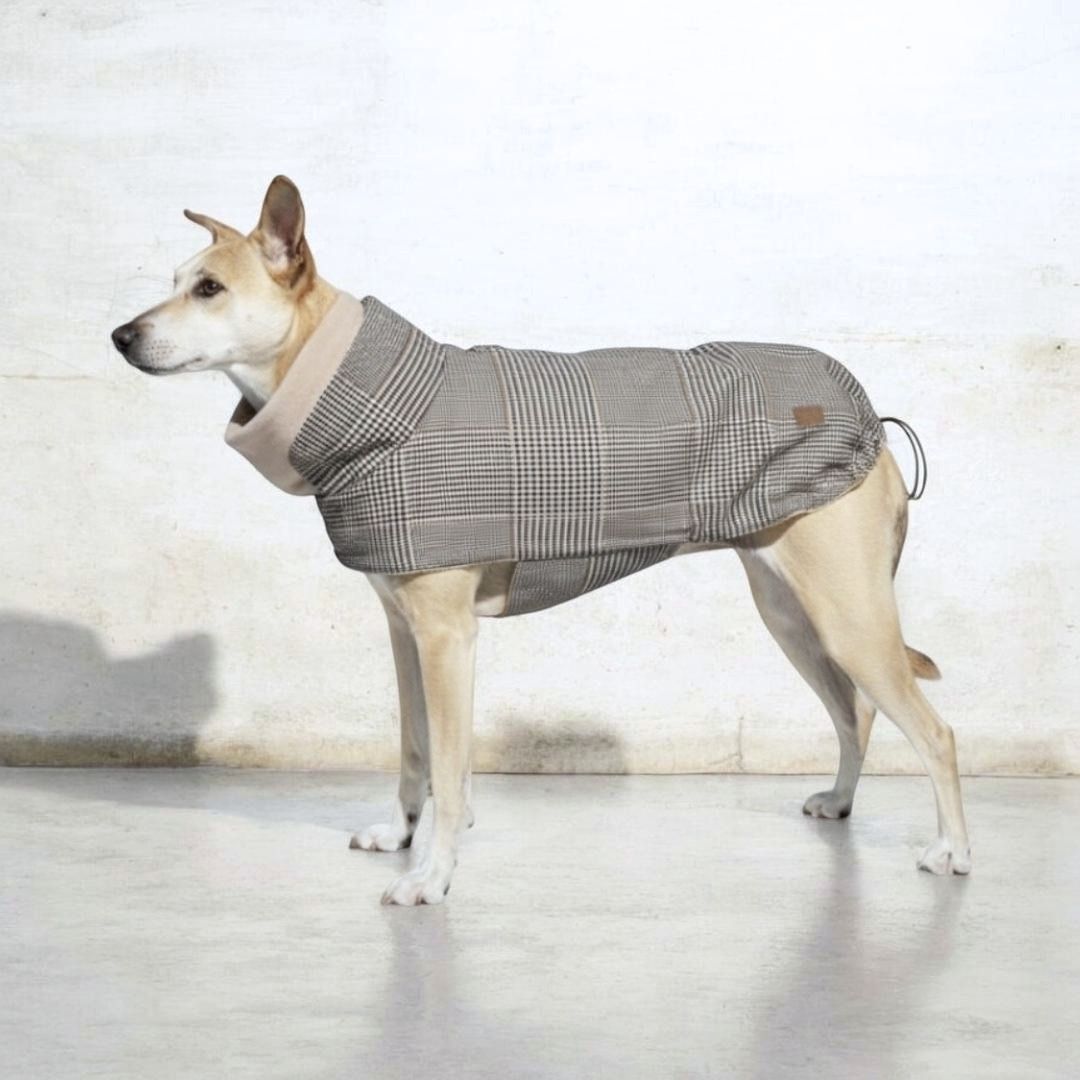 Hundemantel Brooklyn SHERLOCK C7 x Woofstuff