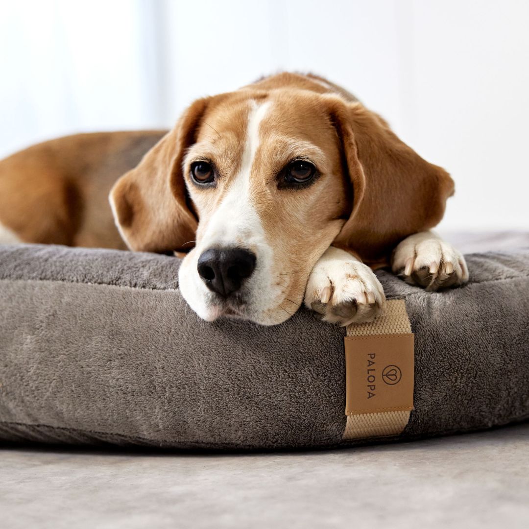 Palopa-Hundebett-Donut-Fippa-Taupe-Detail