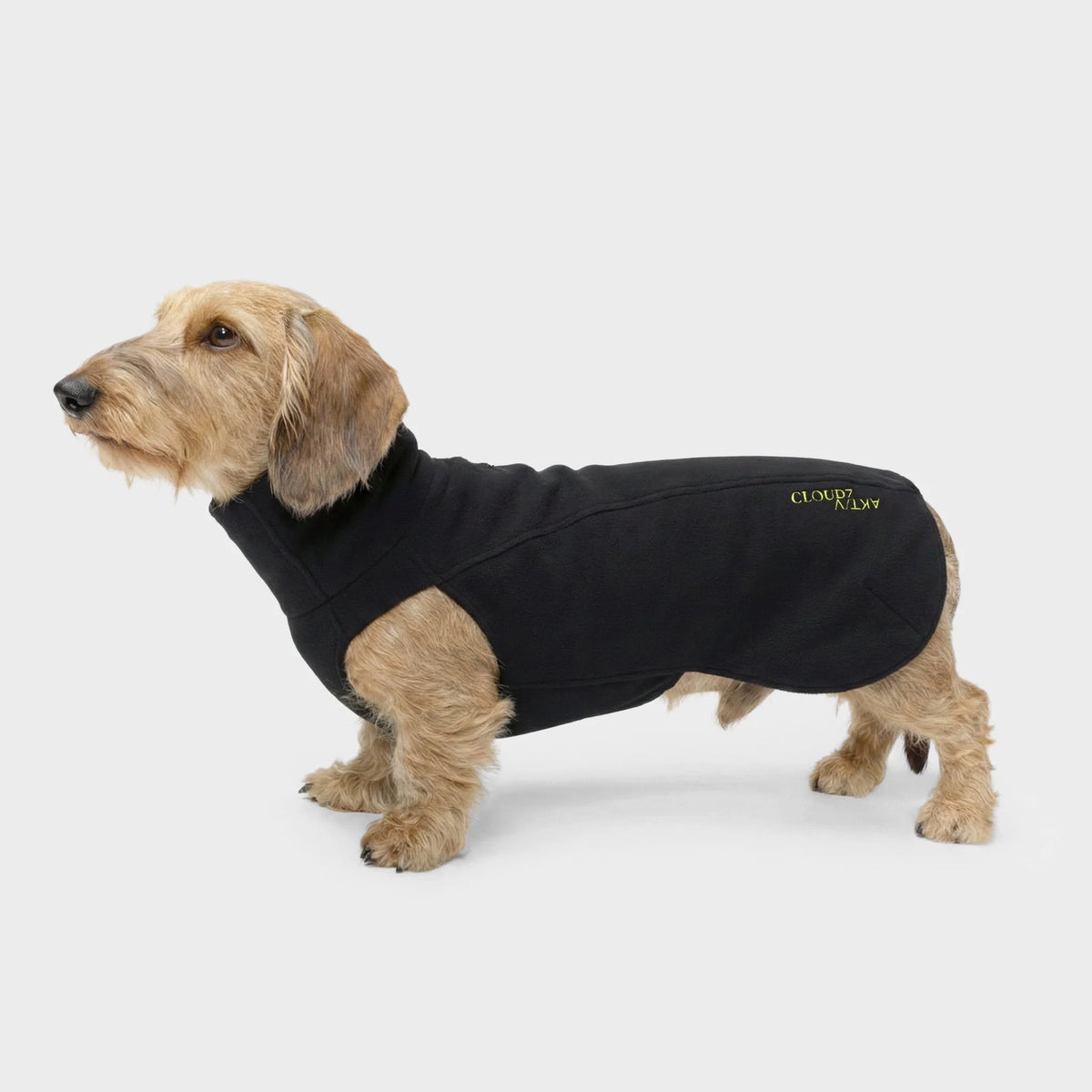 Hundepullover Body Warmer DACKEL AKTIV Black