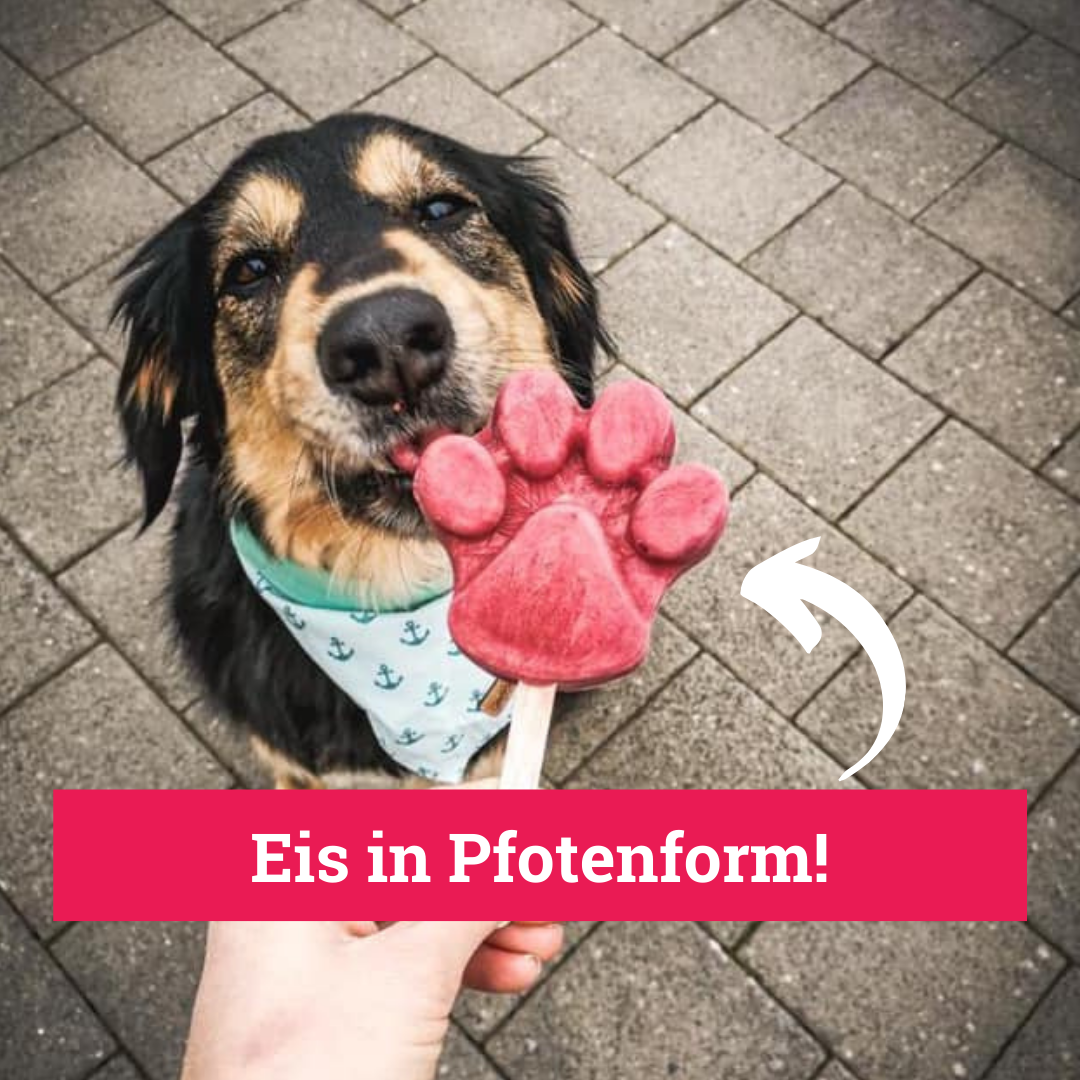 ICE-BUDDY-Pfotenform-Silikon-Hundeeis-Mood