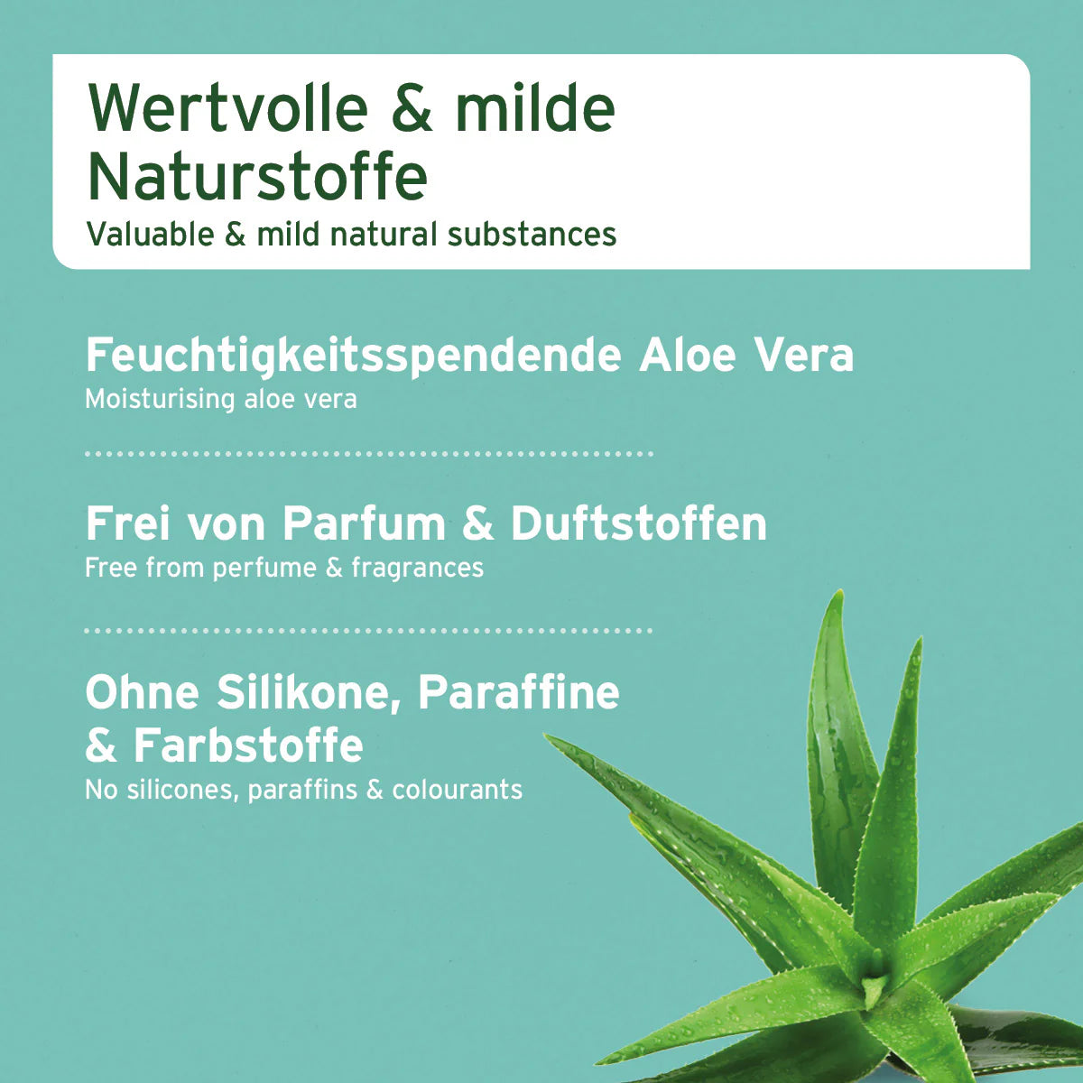 Aniforte-Aloe-Vera-Welpenshampoo-Inhalt