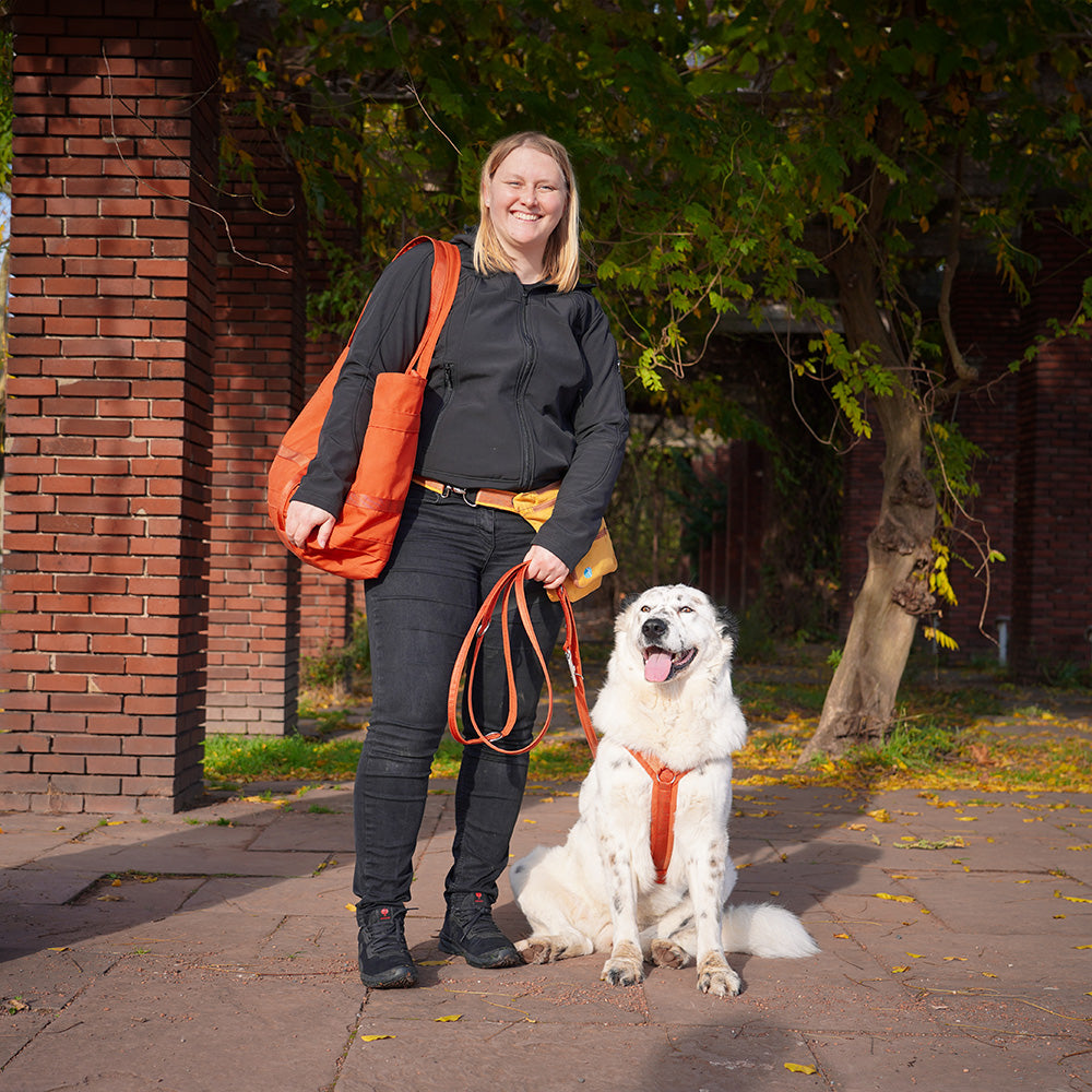 Annyx-Führleine-Safety-Fun-Ahorn-Mood4