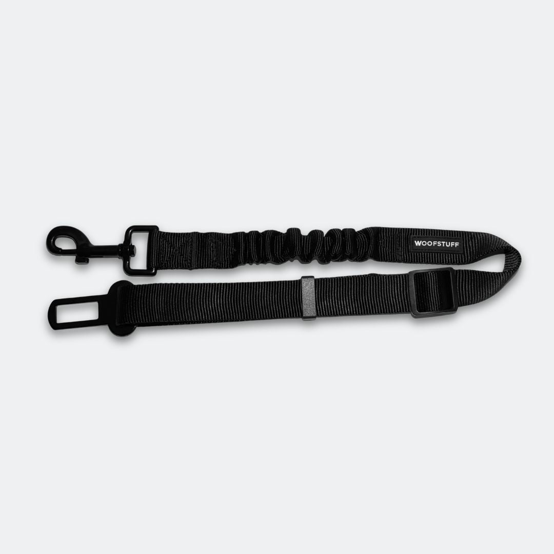 Auto-Sicherheitsgurt-Roadie-Expander-2