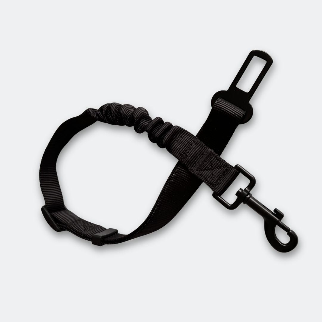 Auto-Sicherheitsgurt-Roadie-Expander-3