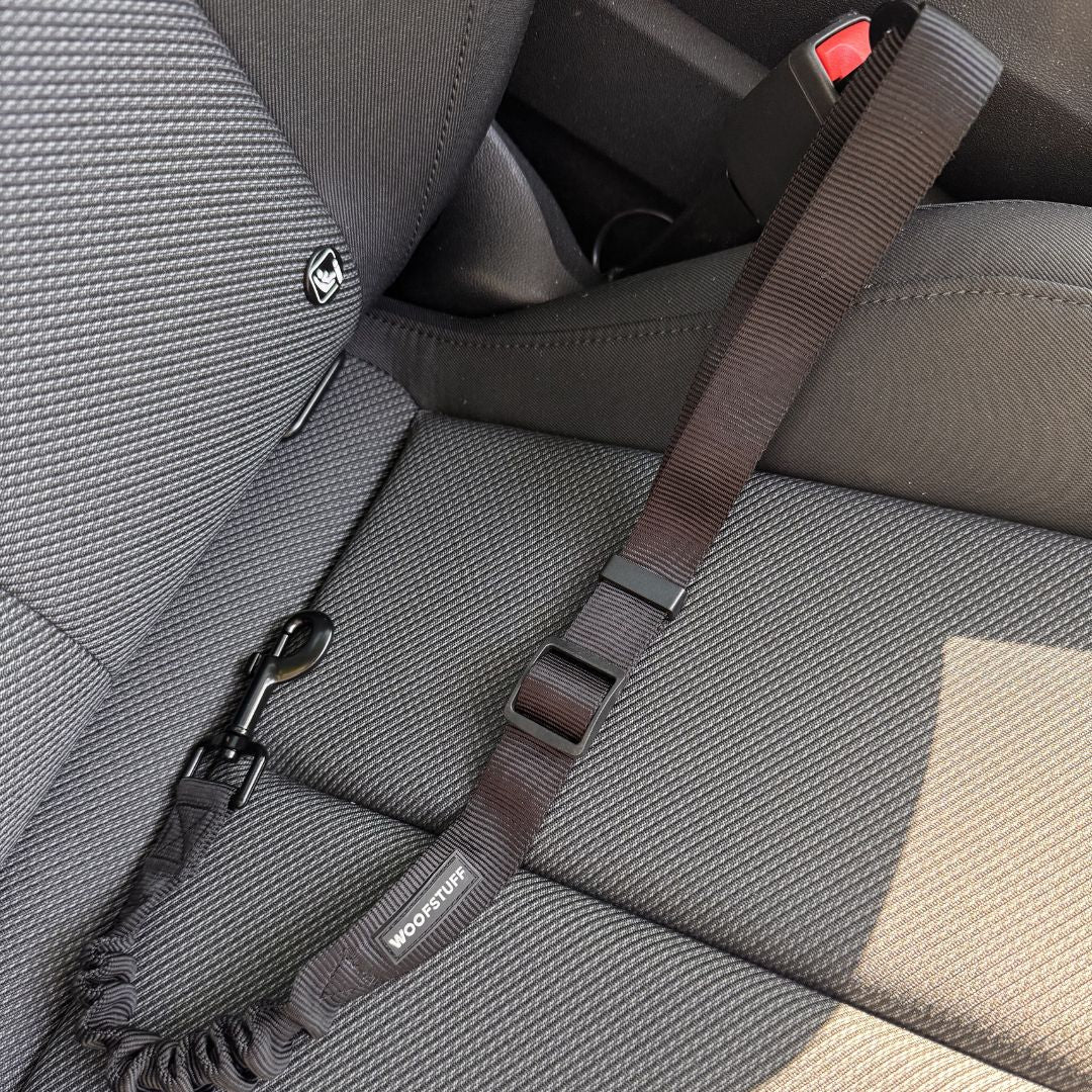 Auto-Sicherheitsgurt-Roadie-Expander-Mood