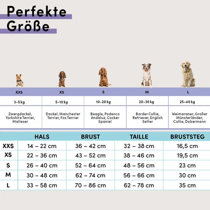 Stuch-gepolstertes-Hundegeschirr-Größentabelle