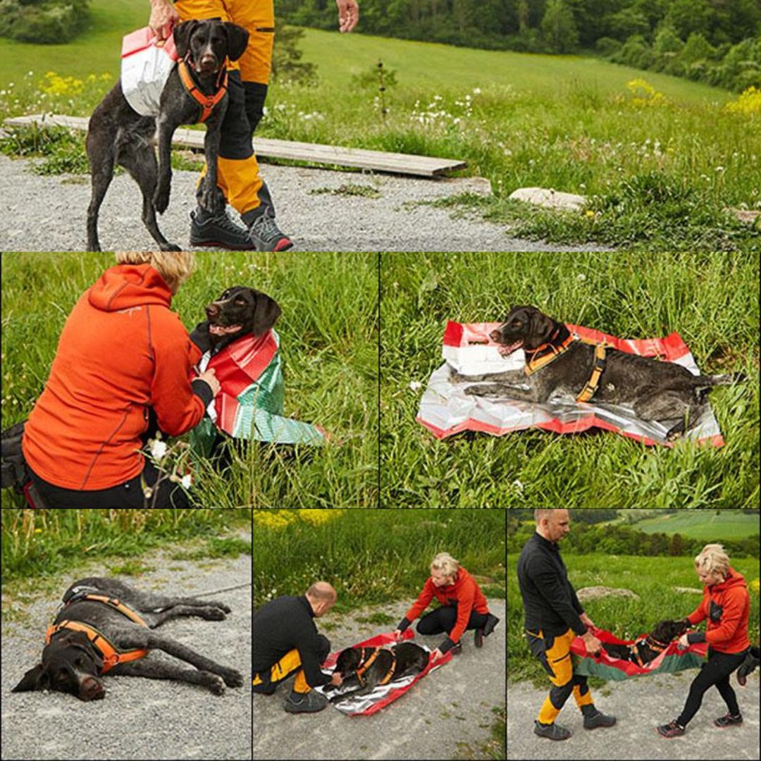 SOS Hunde-Rettungsdecke