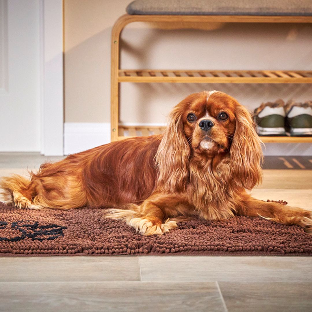 Wolters-Cleankeeper-Doormat-Dirty-Dog-Tabac-Mood