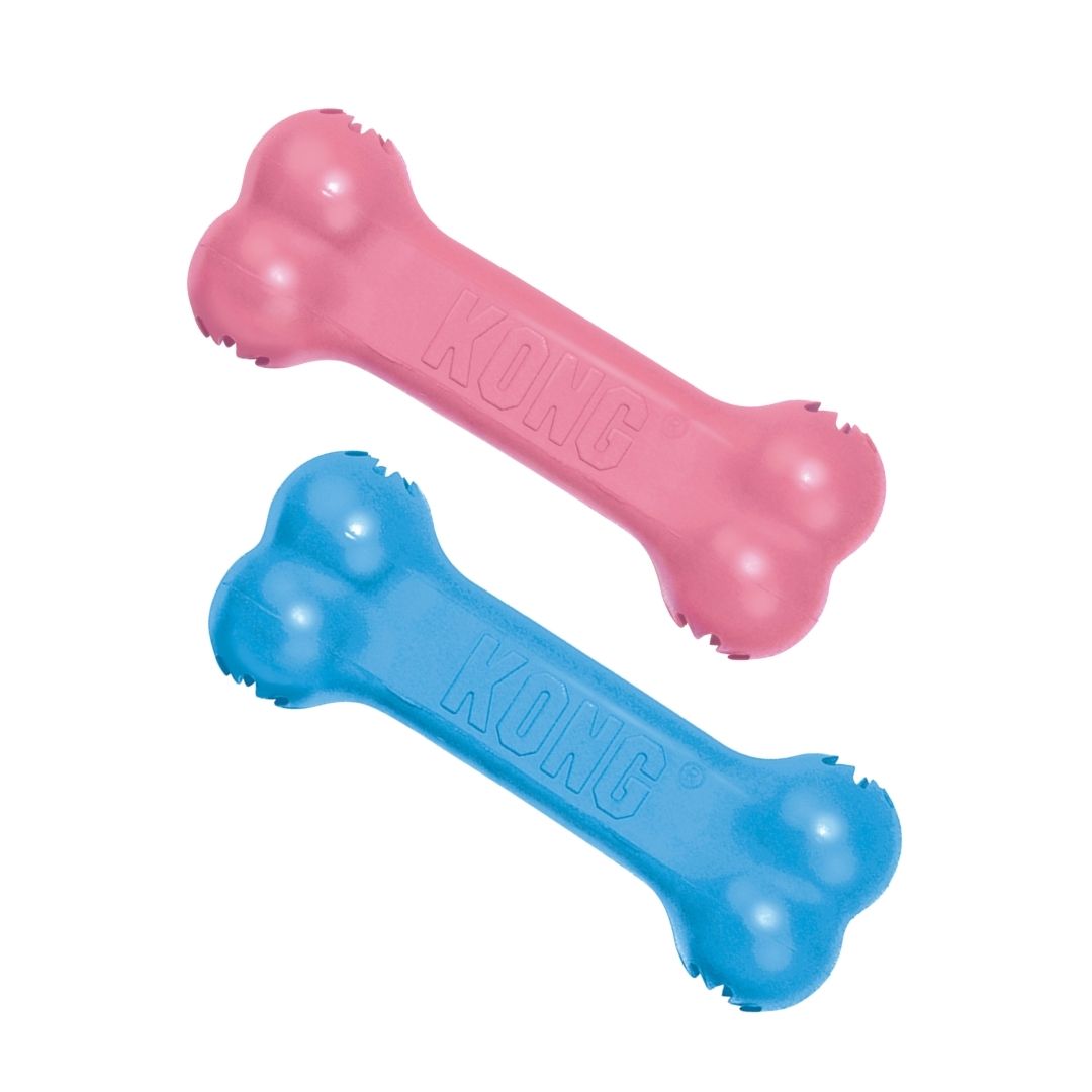 Kong-Puppy-Goodie-Bone-Small-Farben