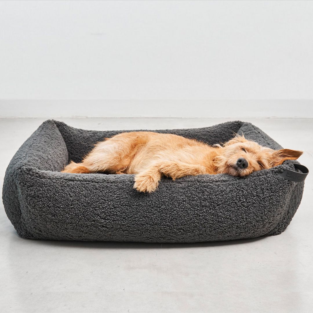MiaCara-Senso-Hundebett-Box-Bett-Graphit-Hund