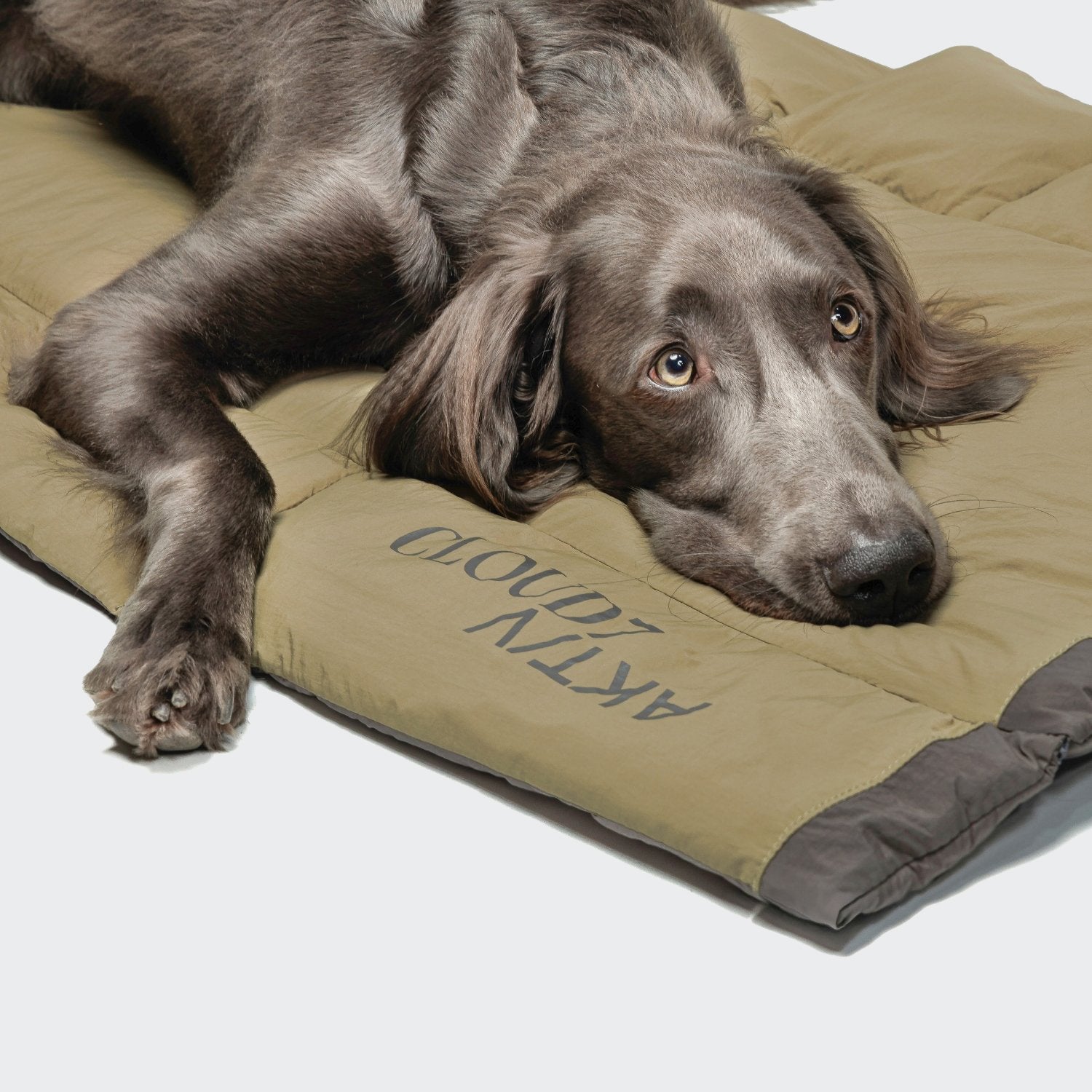 Hundereisebett & Tote Bag AKTIV Puffer Dark Grey/Khaki