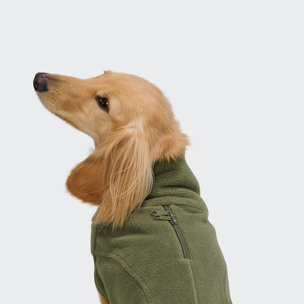 Hundepullover Body Warmer DACKEL AKTIV Khaki