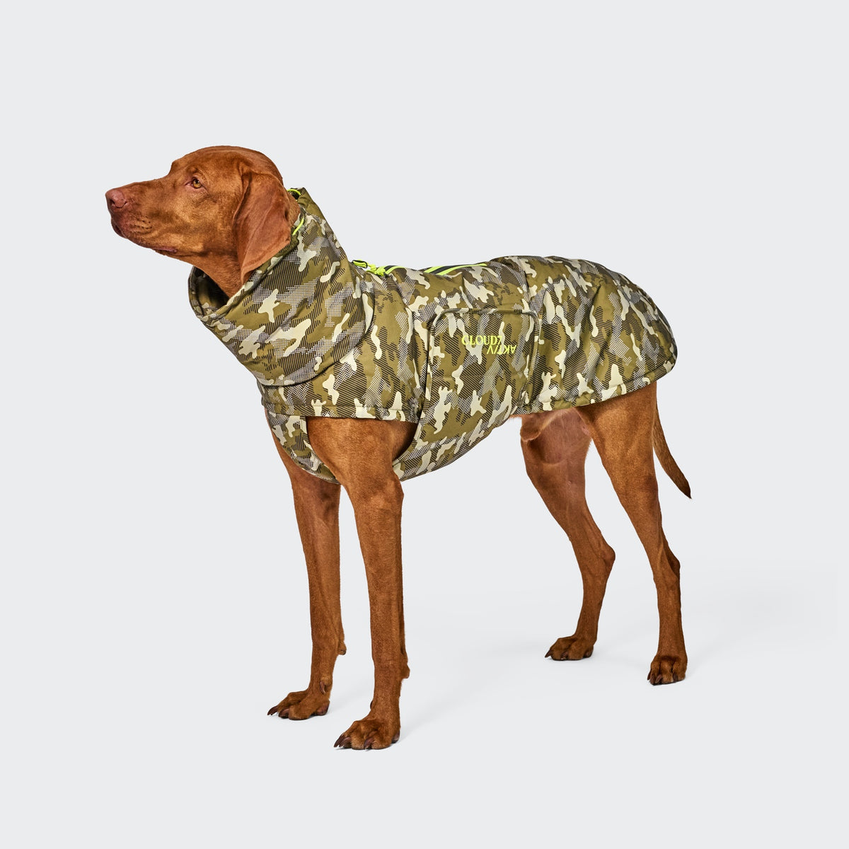 Hundemantel Alaska AKTIV Camo