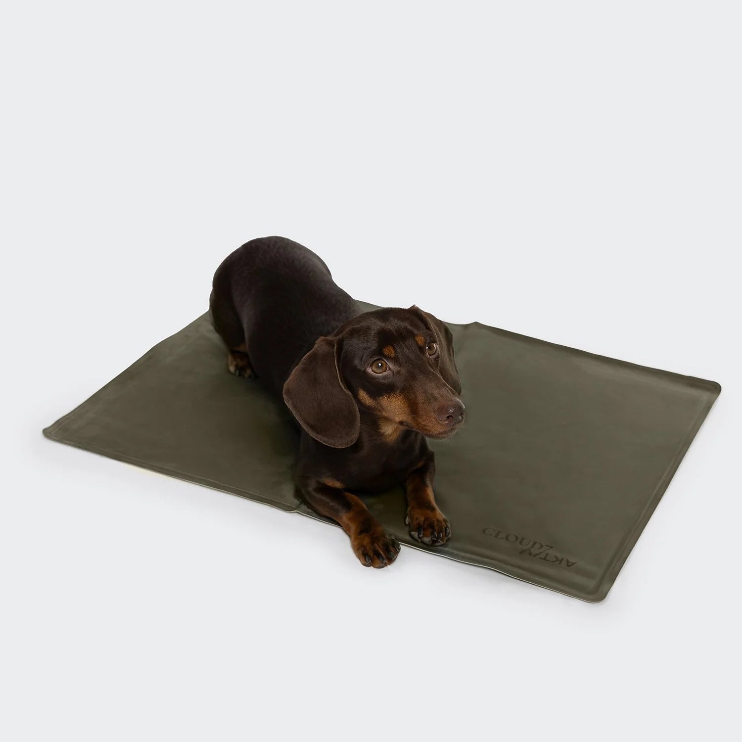 Hundekühlmatte AKTIV Dark Olive
